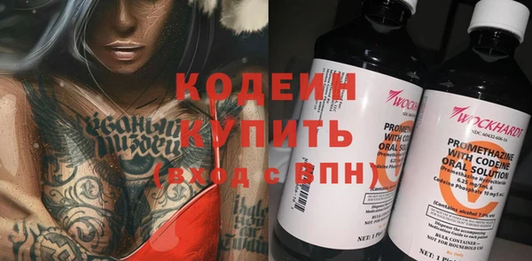 прущие крисы Каменка