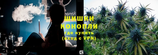 прущие крисы Каменка