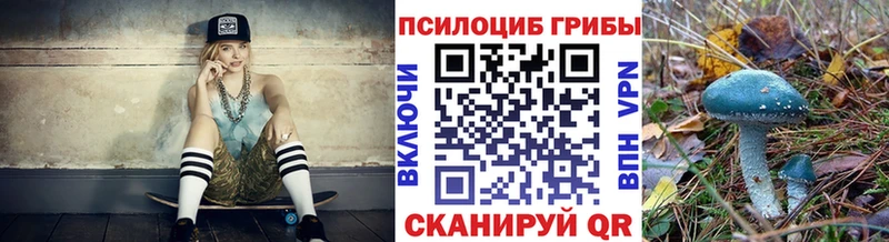 Купить закладки  Донской  Псилоцибиновые грибы Magic Shrooms 